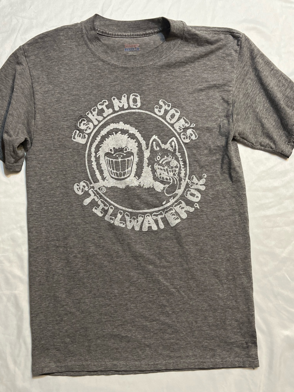 Hanes Gray Short Sleeve Graphic Crewneck T-Shirt